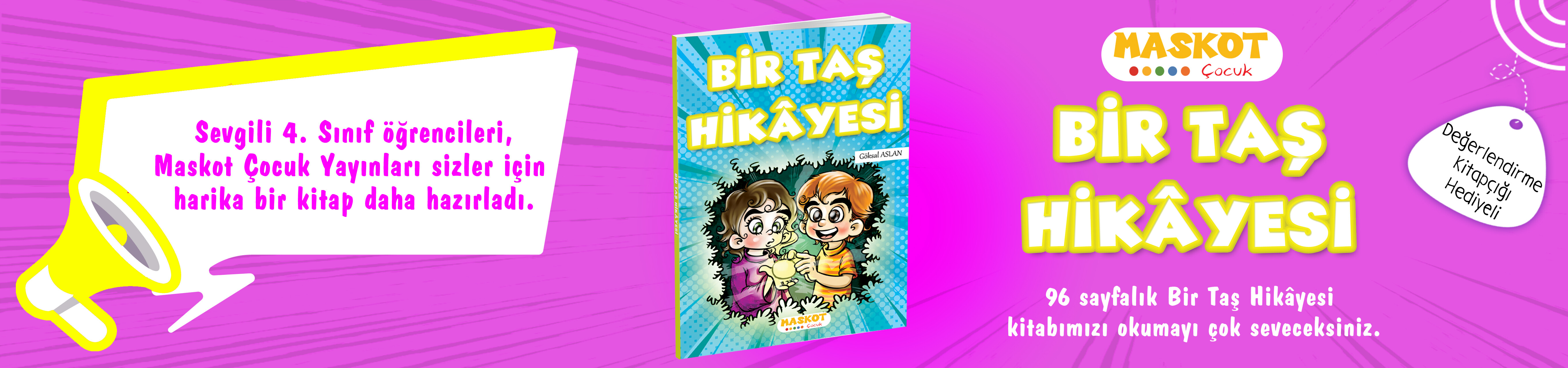 BİR TAŞ HİKÂYESİ